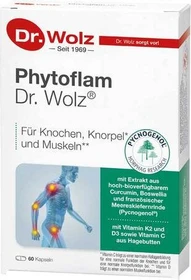 Dr. Wolz Phytoflam Kapseln, 60 Stück