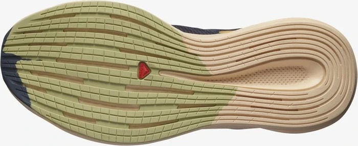 Salomon Spectur ebony/almond cream/leek green (Damen)