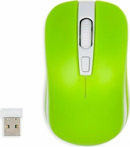 iBox Loriini
