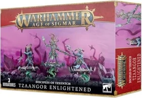 Games Workshop Warhammer Age of Sigmar - Disciples of Tzeentch - Tzaangor Enlightened