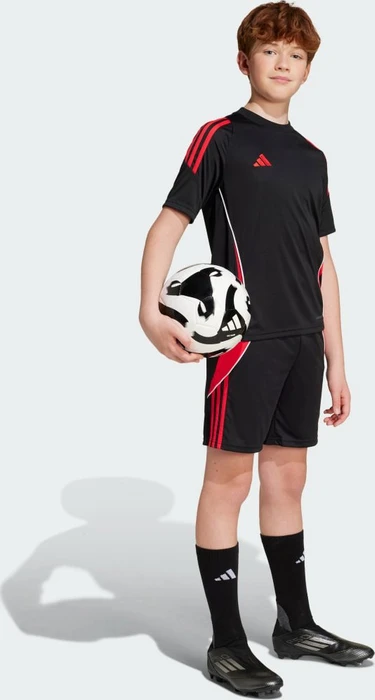 adidas Tiro 24 Trainingshose kurz black/pure ruby (Junior)