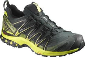 Salomon XA Pro 3D GTX darkest spruce/sulphur spring/black (Herren)