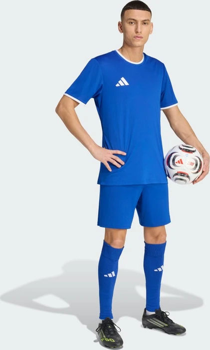 adidas Entrada 26 Trikot kurzarm royal blue/white (Herren)