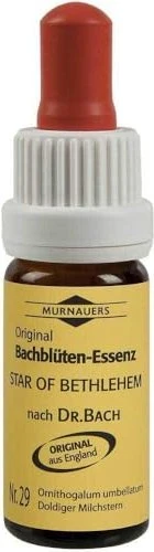 Murnauer Bachblüten Nr. 29 Star of Bethlehem, 20ml