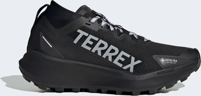 adidas Terrex Agravic GTX Trail core black/silver dawn/grey two (Damen)
