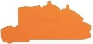 Wago Abschluss- und Zwischenplatte 0,8 mm dick orange