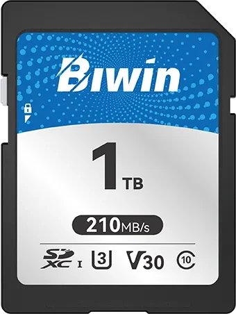 Biwin SD210 Series