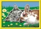 Ravensburger Malen nach Zahlen Kätzchen und Häschen Vorschaubild