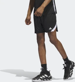 adidas Icon Squad Shorts schwarz/weiß (Herren)