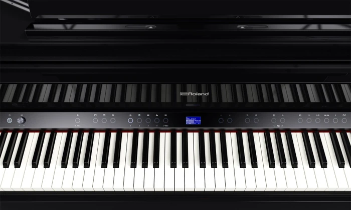 Roland GP-9 schwarz