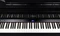 Roland GP-9 schwarz Vorschaubild