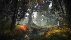 The Witcher 2 - Assassins of Kings - Enhanced Edition (englisch) (Xbox 360)
