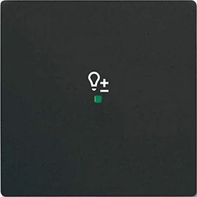 Busch-Jaeger Wippe 1-fach mit Symbol "Dimmer", schwarz matt