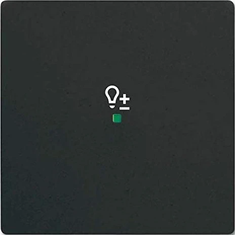Busch-Jaeger Wippe 1-fach mit Symbol "Dimmer", schwarz matt