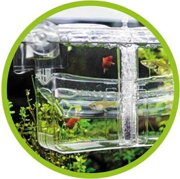 Hobby Nido 5, Ableichkasten