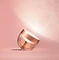 Philips Hue White and Color Ambiance Iris Limited Edition kupfer Vorschaubild