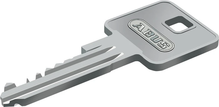 ABUS E30NP 30/30 verschiedenschließend