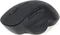 Gembird Wireless Optical Mouse 6B-02 schwarz, USB Vorschaubild