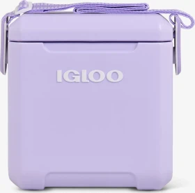 Igloo Tag Along Too Passiv-Kühlbox lilac
