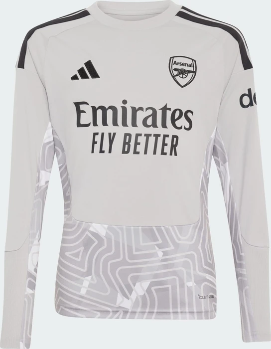 adidas FC Arsenal 2026/2027 Torwarttrikot grey two (Junior)