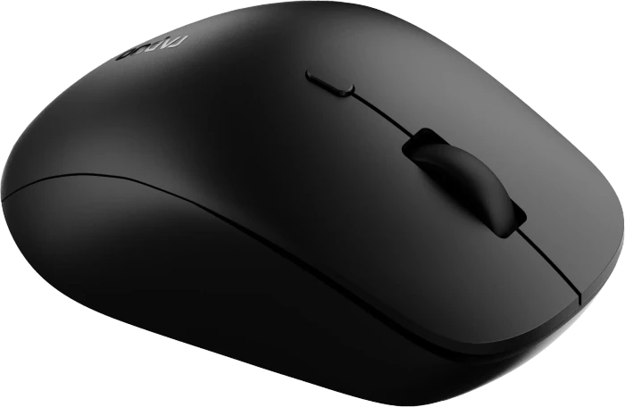 Rapoo M50 Plus Silent Wireless Mouse schwarz, USB