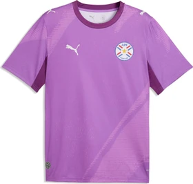 Puma FIFA WM 2026 Paraguay x Salehe Bembury Authentic Torwarttrikot kurzarm wild berry/plum wine (Herren)