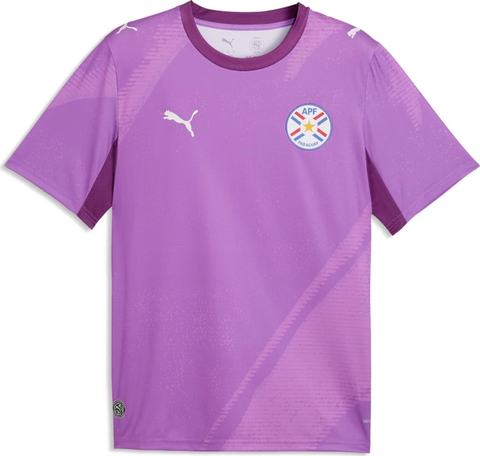 Puma FIFA WM 2026 Paraguay x Salehe Bembury Authentic Torwarttrikot kurzarm wild berry/plum wine (Herren)