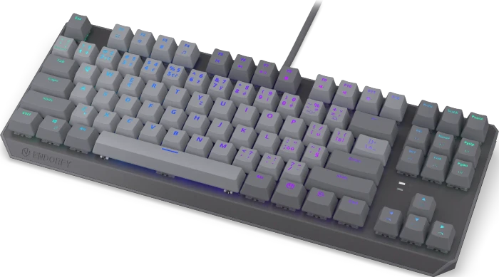 Endorfy Thock V2 TKL, PBT, grau, LEDs RGB, hot-swap, Endorfy RED, USB, CZ/SK