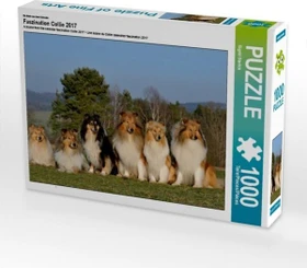 Calvendo Ein Motiv aus dem Kalender Faszination Collie 2017