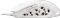 White Shark Ector White Gaming Mouse, weiß, USB Vorschaubild