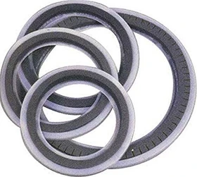 Remo Muff'l Control Ring 10"