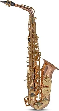 Roy Benson Eb-Alt Saxophon AS-202
