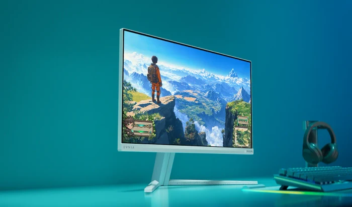 Philips Evnia 3000 Series 24M2N3201PL, 23.8"