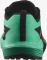 Salomon Sense Ride 5 black/bay/cherry tomato (Herren) Vorschaubild
