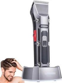 Steinborg SB-4020
