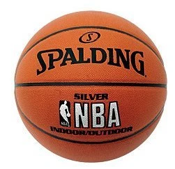 Spalding NBA Silver Basketball