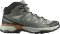 Salomon X Ultra 360 Leather Mid GTX wrought iron/sedona sage/sierra (Herren) Vorschaubild