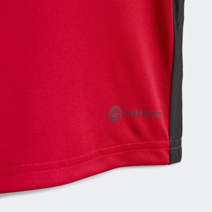 adidas FIFA WM 2022 Belgien Mini Heimausrüstung (Junior)