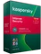 Kaspersky Lab Internet Security 2022 Vorschaubild