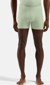 Odlo Natural Merino 160 Boxer Briefs ambrosia (Herren)