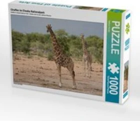 Calvendo Giraffen im Etosha Nationalpark