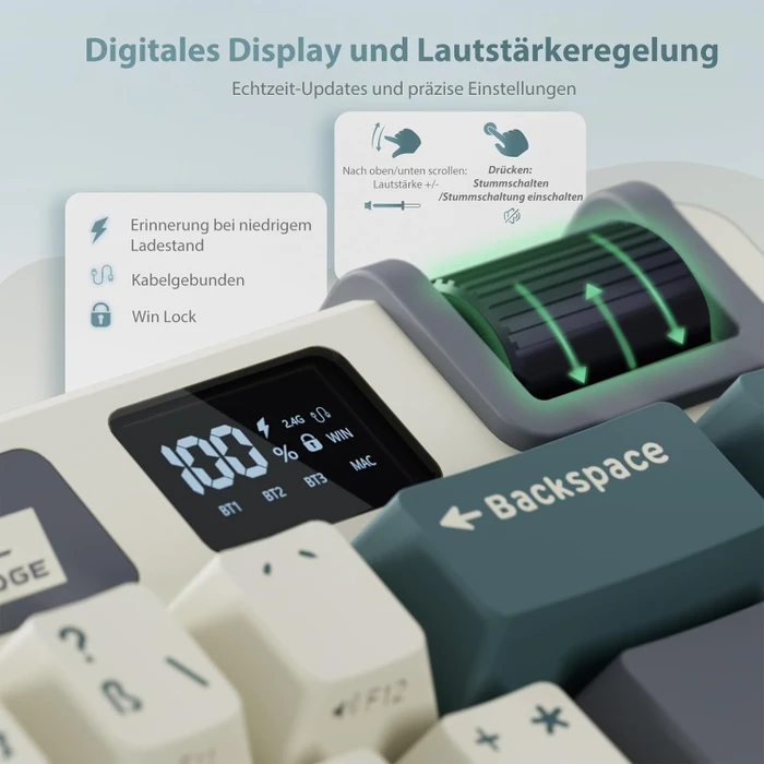 RK Royal Kludge M70 Wireless, Cyan Purple, weiß/blau, LEDs RGB, hot-swap, RK Linear Cream, USB/Bluetooth, DE
