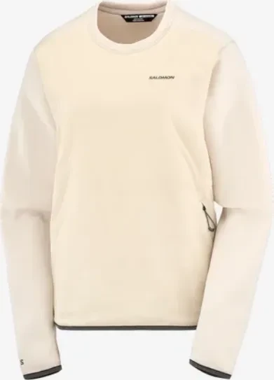 Salomon Outline Warm Hooded Pullover rainy day (Damen)