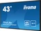 iiyama ProLite LE4341UHS-B1, 42.5" Vorschaubild