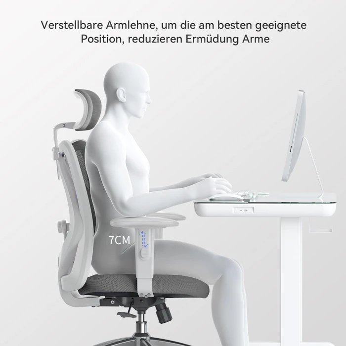 Sihoo M18 Classic Office Bürostuhl, grau