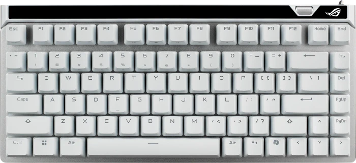 ASUS ROG Falchion Ace 75 HE, weiß, ROG HFX V2 Magnetic, USB, DE