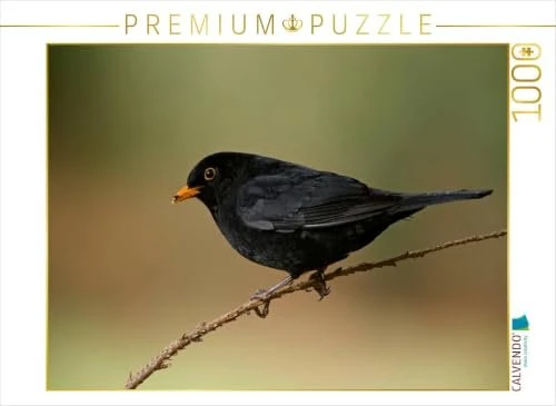 Calvendo Ein Motiv aus dem Kalender Inne Botanik - Vögel im Ruhrpott