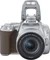 Canon EOS 250D silber mit Objektiv EF-S 18-55mm 4.0-5.6 Vorschaubild