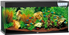 Juwel Rio 240 LED Aquarium-Set, schwarz, 240l