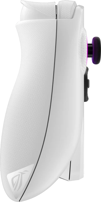 ASUS ROG Xbox Ally RC73YA-NH002W, DE